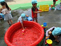 2歳児の水遊びの写真