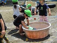 大きなたらいから水を汲みだしている3歳児の写真