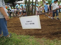 あらい保育園の子どもたちが種をまいたスペースを示す看板の写真