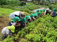 4歳児がじゃが芋堀の写真です。