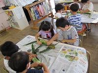 4歳児ぞう組がトウモロコシの皮むきをしている写真