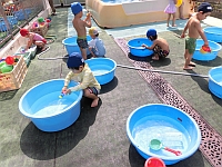 タライで遊ぶ幼児クラスの写真