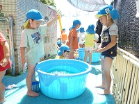 4歳児水遊びの写真1