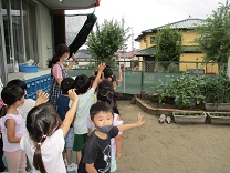 写真：5歳児