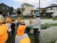 5歳児らいおん組がせせらぎ農園の方の話を聞いている写真