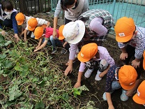 写真：5歳児