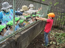 写真：4歳児