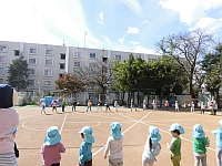 らいおんぐみとこあらぐみの様子の写真