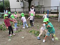 お芋のつるで遊ぶ3歳児の写真