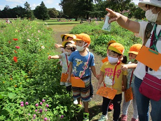 3歳児こあら組がウォークラリーをしている様子の写真