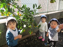 写真：0歳児