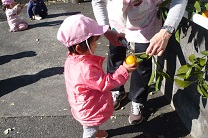 写真：1歳児