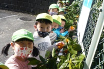 写真：4歳児