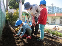 写真：3歳児