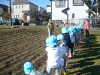 4歳児ぞう組が畑を見学している写真