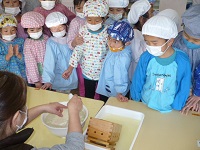 5歳児らいおん組が完成した木綿豆腐をみている写真