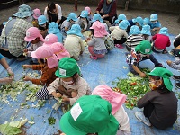 ぼかしと野菜くずを利用して園児が土づくりをしている写真です。