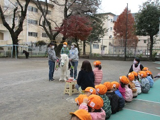 こあら組の乗馬体験の様子の写真