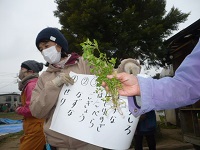 せせらぎ農園の方から七草の名前を聞いている写真