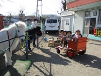 写真：リトルホース