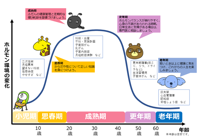 女性のライフステージと心とからだの変化