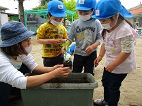 写真：4歳児