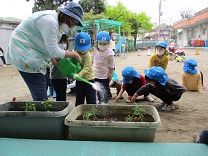 写真：4歳児