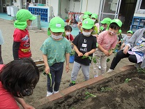 写真：苗植え　子どもたち順番待ち