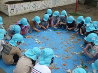 5歳児らいおん組が野菜くずをちぎっている写真