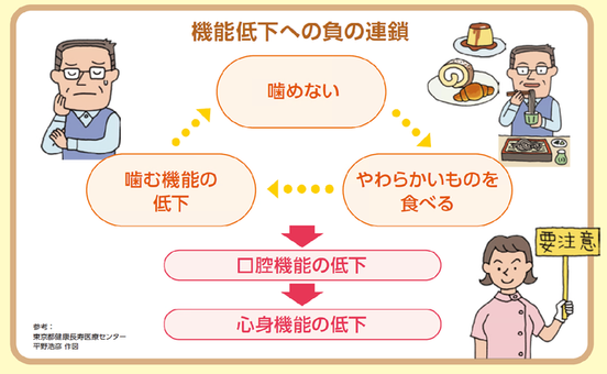 噛めなくなるとと、やわらかいものを食べるようになります。やわらかいものばかり食べていると噛む機能が低下し、さらに噛めなくなってしまいます。このようにお口の機能が低下することは、心身機能の低下につながると言われています。