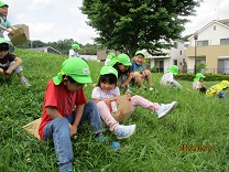 写真:5歳児　芝生滑り