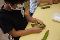 写真：そらまめさやむき