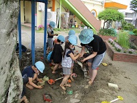 4歳児が泥団子を作っている写真です。