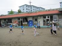 写真：荒馬