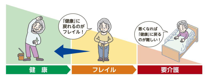 「フレイル」とは、健康と要介護の中間地点のことを言います。健康に戻れるがフレイルです。