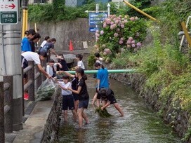 日野用水清掃の様子