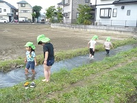 4歳児ぞう組がしろかきの後足を洗っている写真