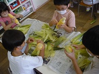 5歳児らいおん組がトウモロコシの皮むきをしている写真2