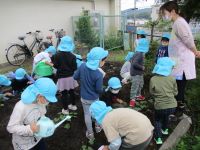 子どもの写真