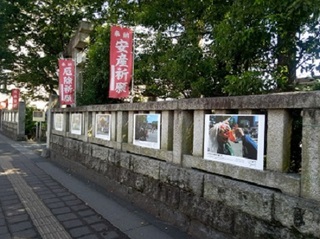 写真：展示の様子