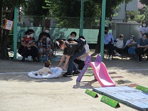 写真：0歳児運動会