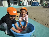 写真：イモ洗い