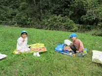 写真：お弁当給食