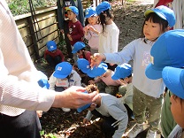 写真：4歳遠足