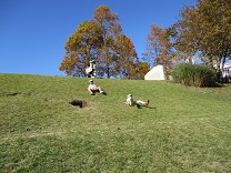 写真：5歳遠足