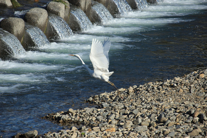 冬空にTake off