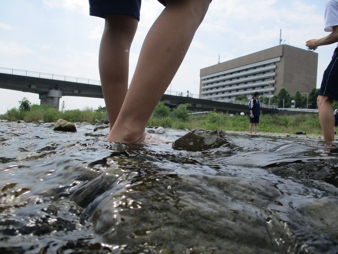 浅川から見る市役所