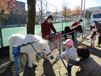 写真：リトルホース