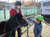 写真：リトルホース