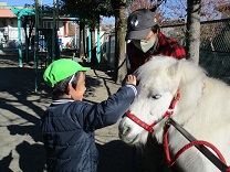 写真：リトルホース